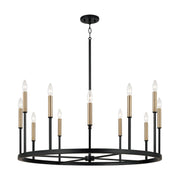 Capital Lighting - 458301ER - 12 Light Chandelier - Davis - Espresso and Brass