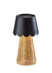 Adesso Home - 3165-01 - LED Table Lamp - Tory - Black & Rattan