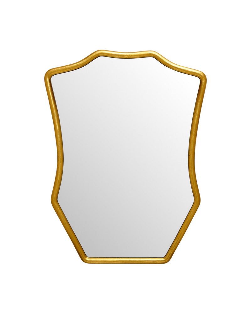 Currey and Company - 1000-0181 - Mirror - Aegis - Gold Leaf