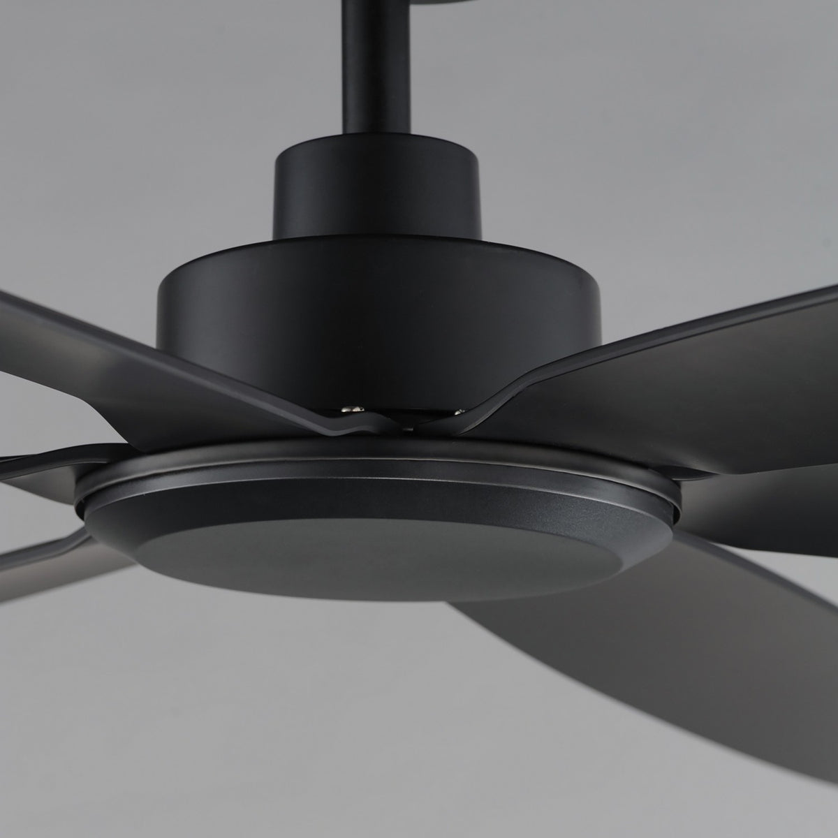 Maxim - 88366BK - 72" Ceiling Fan - Albatross - Black