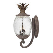 Acclaim Lighting - 7511BC - Three Light Wall Sconce - Lanai - Black Coral