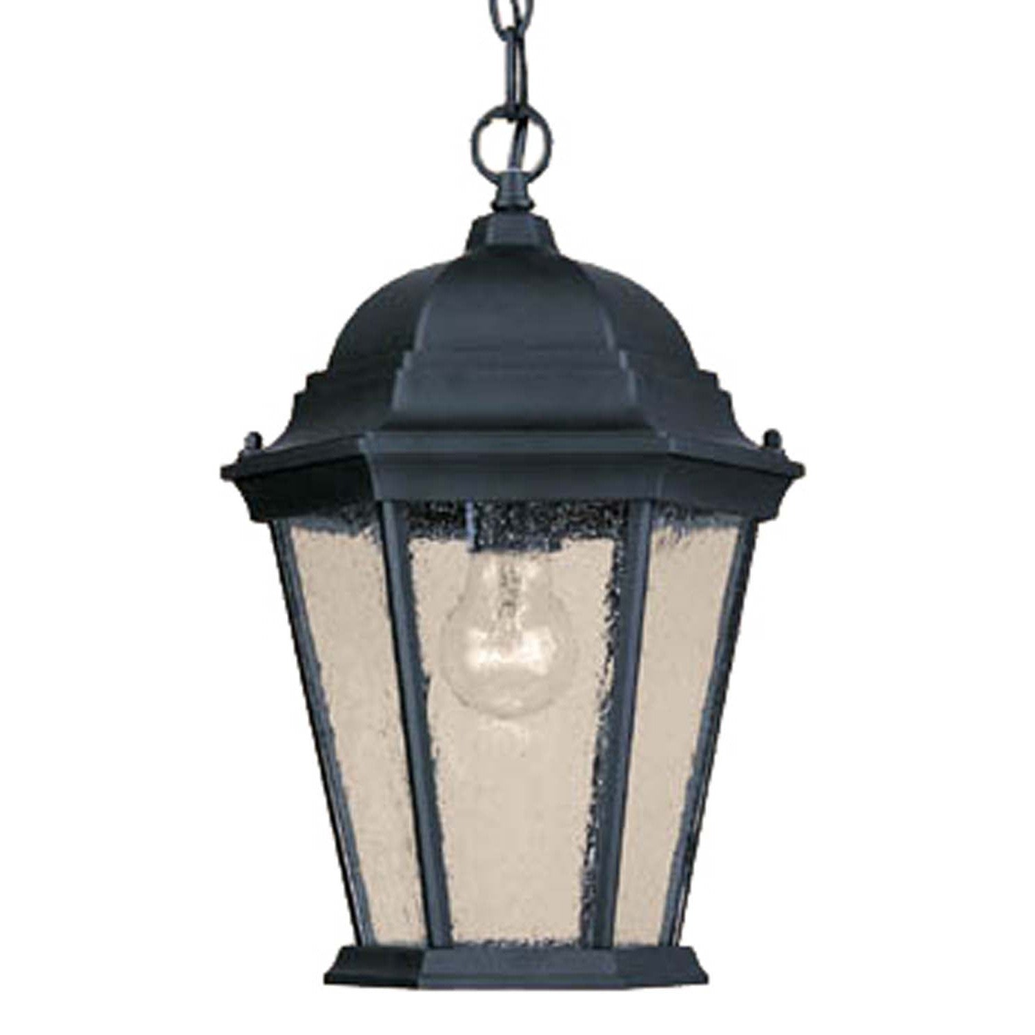 Acclaim Lighting - 5206BK/SD - One Light Hanging Lantern - Richmond - Matte Black