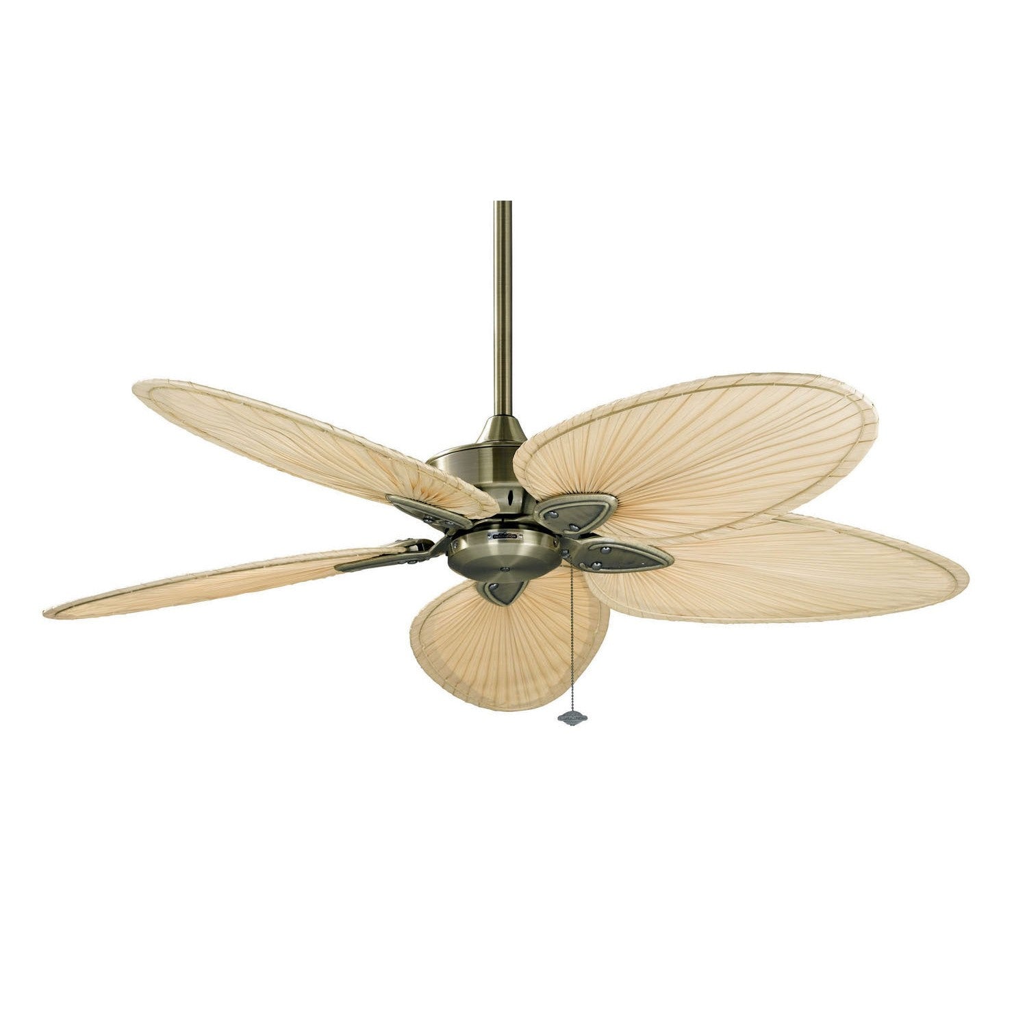 Fanimation - FP7500AB - 52"Ceiling Fan - Windpointe - Antique Brass