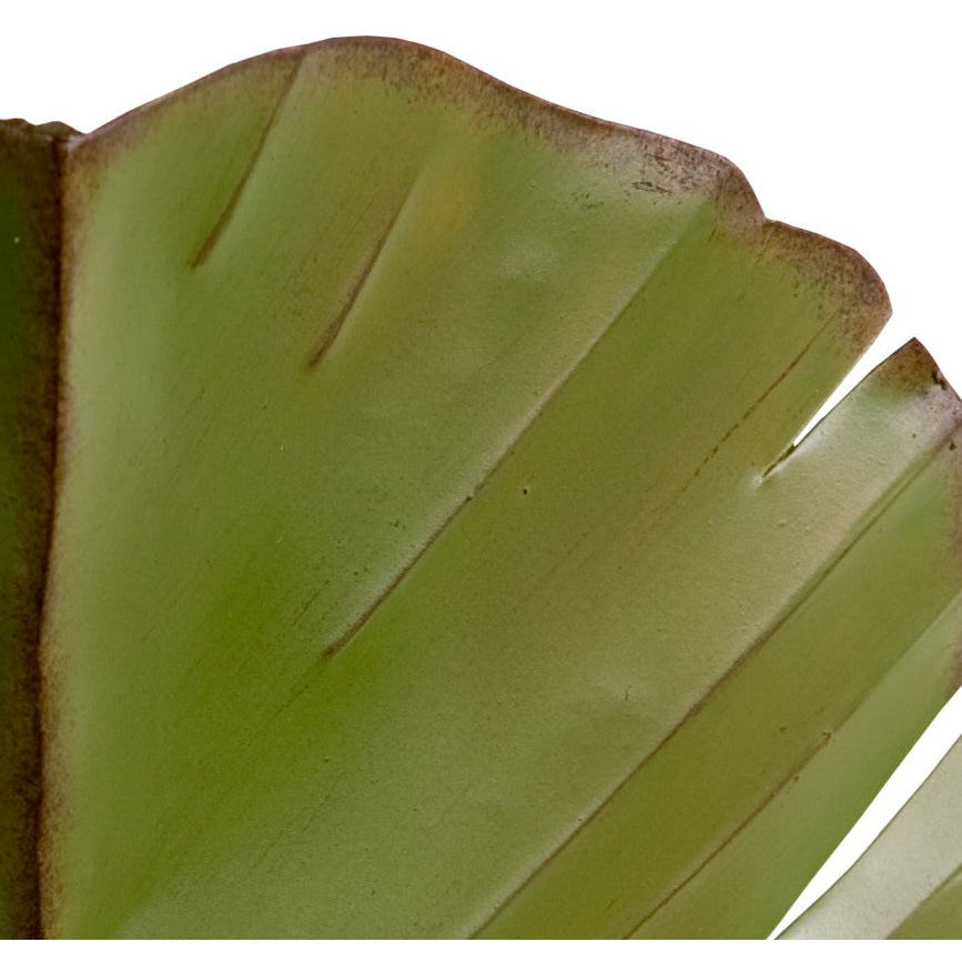 Varaluz - 901K02 - Two Light Wall Sconce - Banana Leaf - Banana Leaf