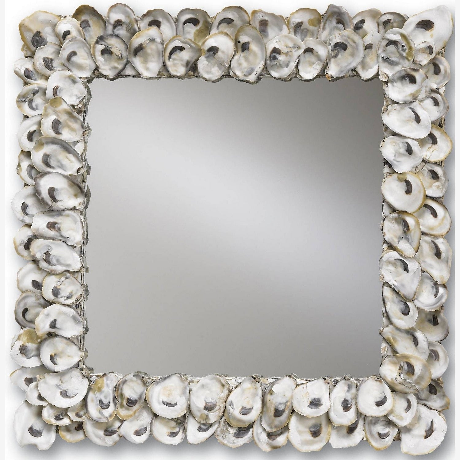 Currey and Company - 1348 - Mirror - Oyster - Natural/Mirror