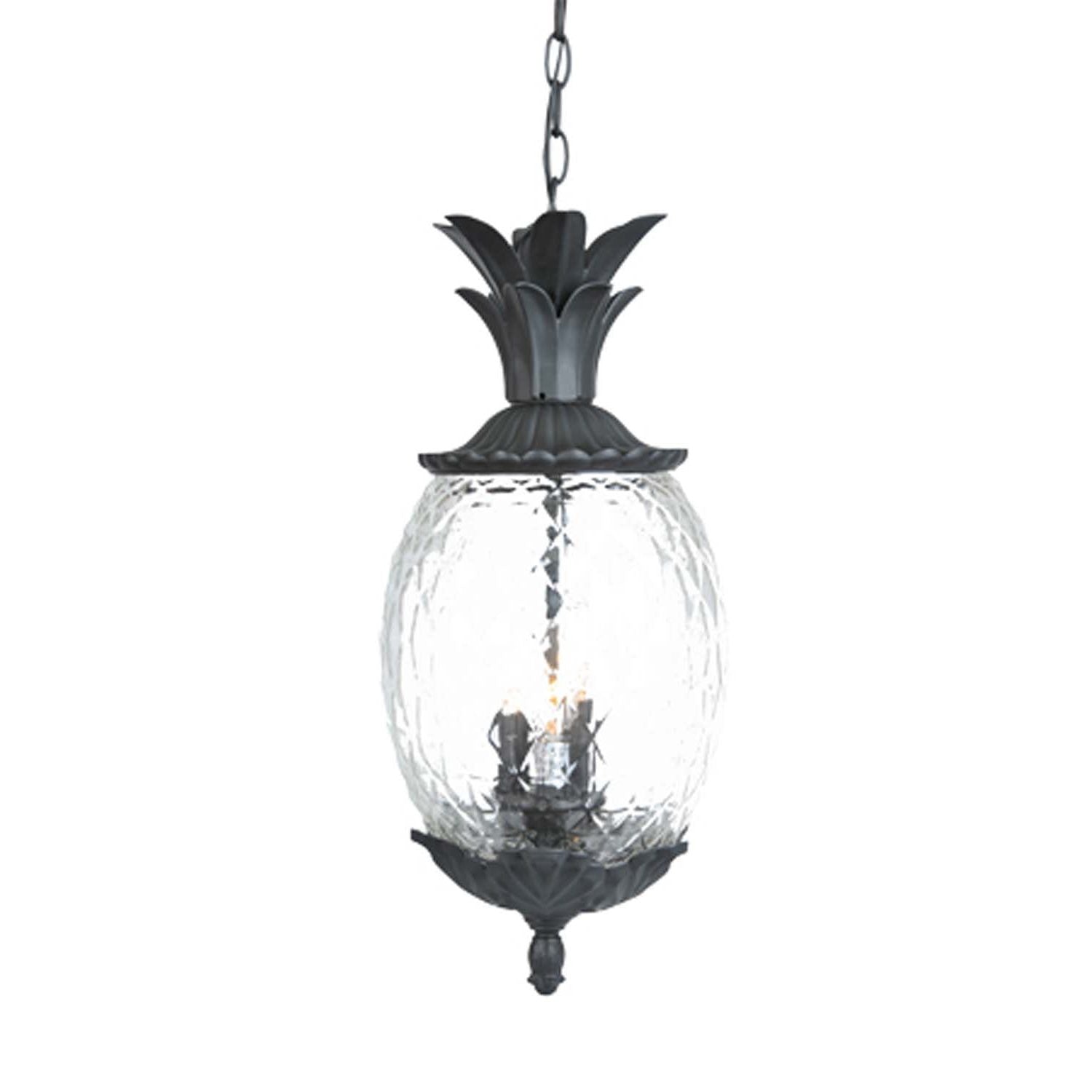Acclaim Lighting - 7516BK - Three Light Hanging Lantern - Lanai - Matte Black