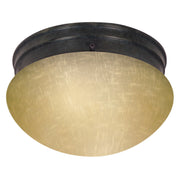 Nuvo Lighting - 60-2644 - Two Light Flush Mount - Flush Mounts - Mahogany Bronze