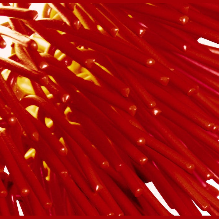Varaluz - 169P01RE - One Light Pendant - Urchin - Super Red