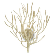 Currey and Company - 5158 - One Light Wall Sconce - Eventide Wall Sconce - White Coral