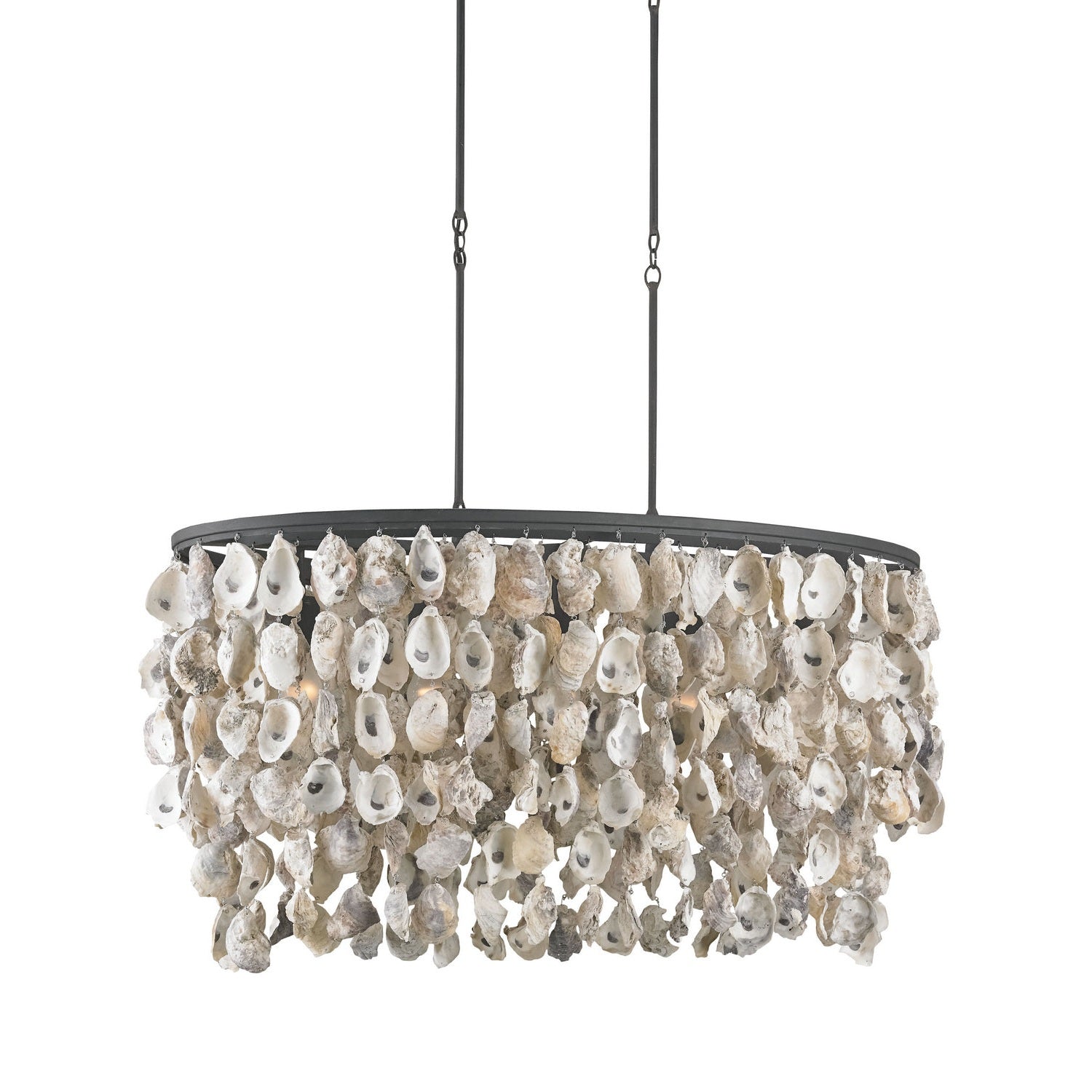 Currey and Company - 9492 - Five Light Chandelier - Oyster Shell Collection - Natural/Blacksmith