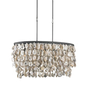 Currey and Company - 9492 - Five Light Chandelier - Oyster Shell Collection - Natural/Blacksmith