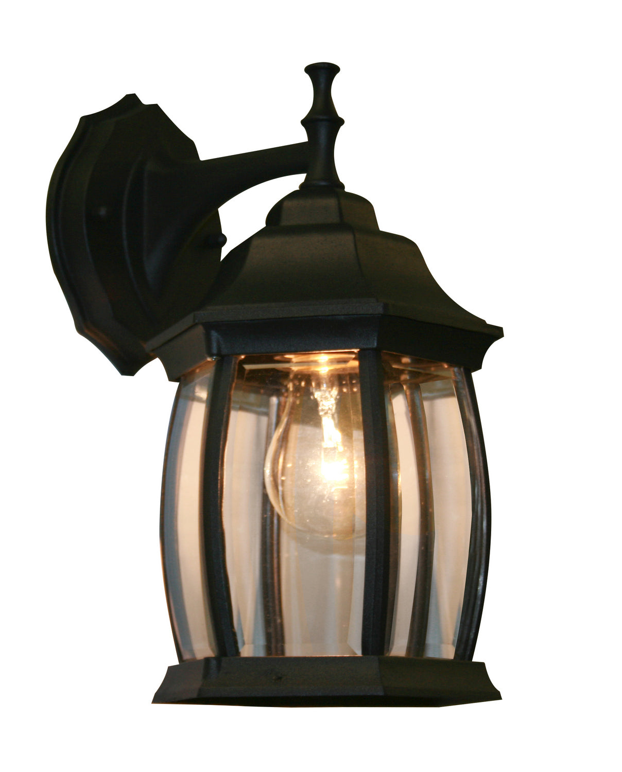 Z-Lite - T20-BK - One Light Outdoor Wall Light - Waterdown - Black