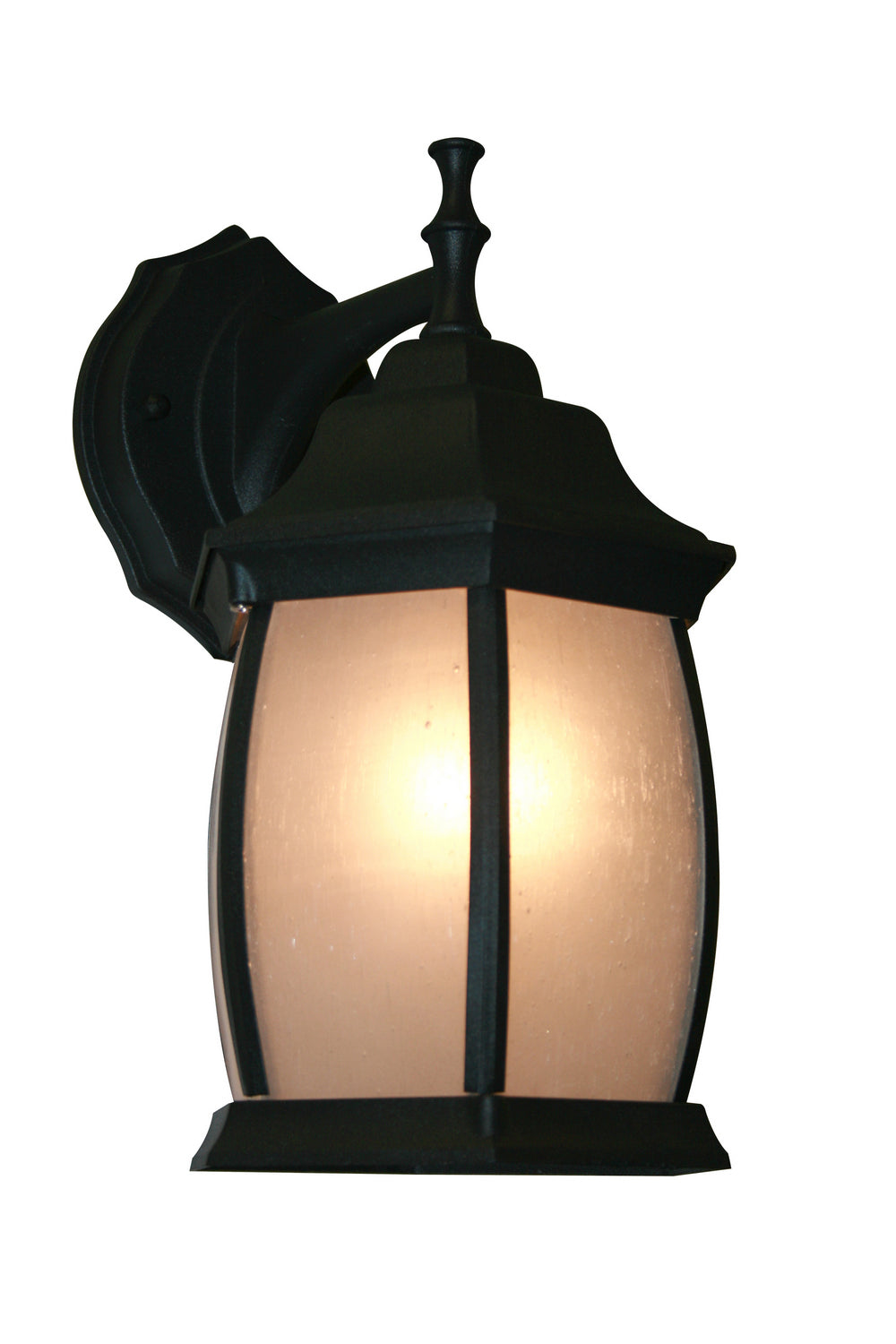 Z-Lite - T20-BK-F - One Light Outdoor Wall Light - Waterdown - Black