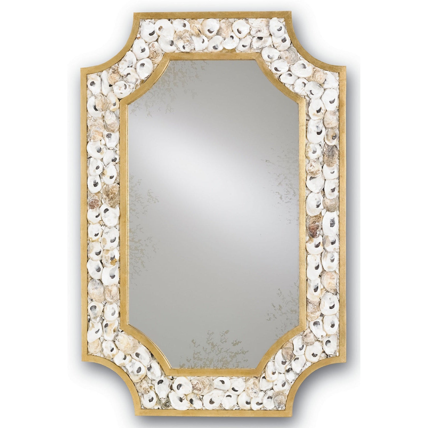 Currey and Company - 1090 - Mirror - Margate - Contemporary Gold Leaf/Natural/Antique Mirror