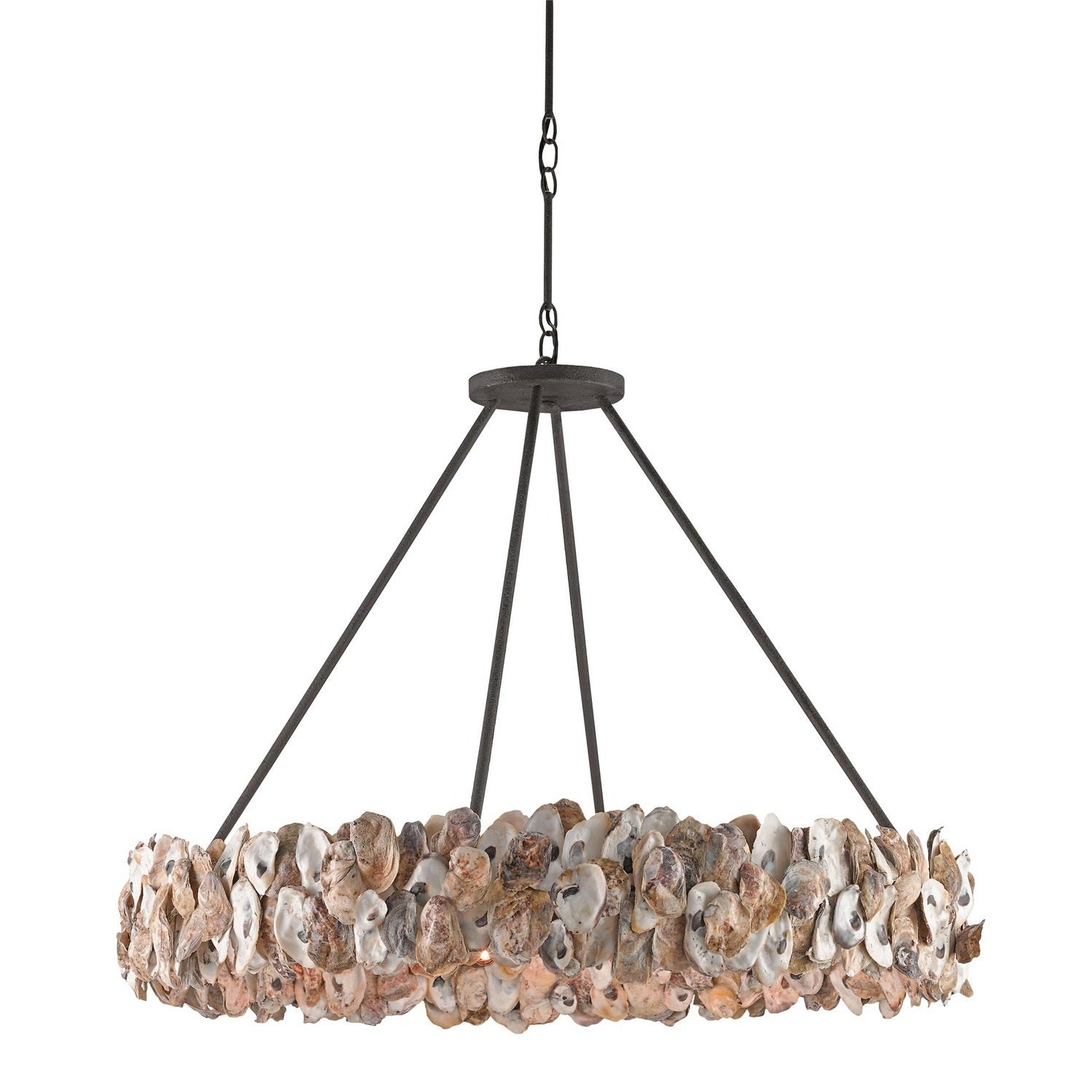 Currey and Company - 9672 - Eight Light Chandelier - Oyster Shell Collection - Textured Bronze/Natural