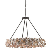 Currey and Company - 9672 - Eight Light Chandelier - Oyster Shell Collection - Textured Bronze/Natural