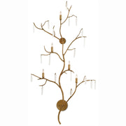 Currey and Company - 5000-0014 - Five Light Wall Sconce - Forest Light Collection - Washed Lucerne Gold/Natural