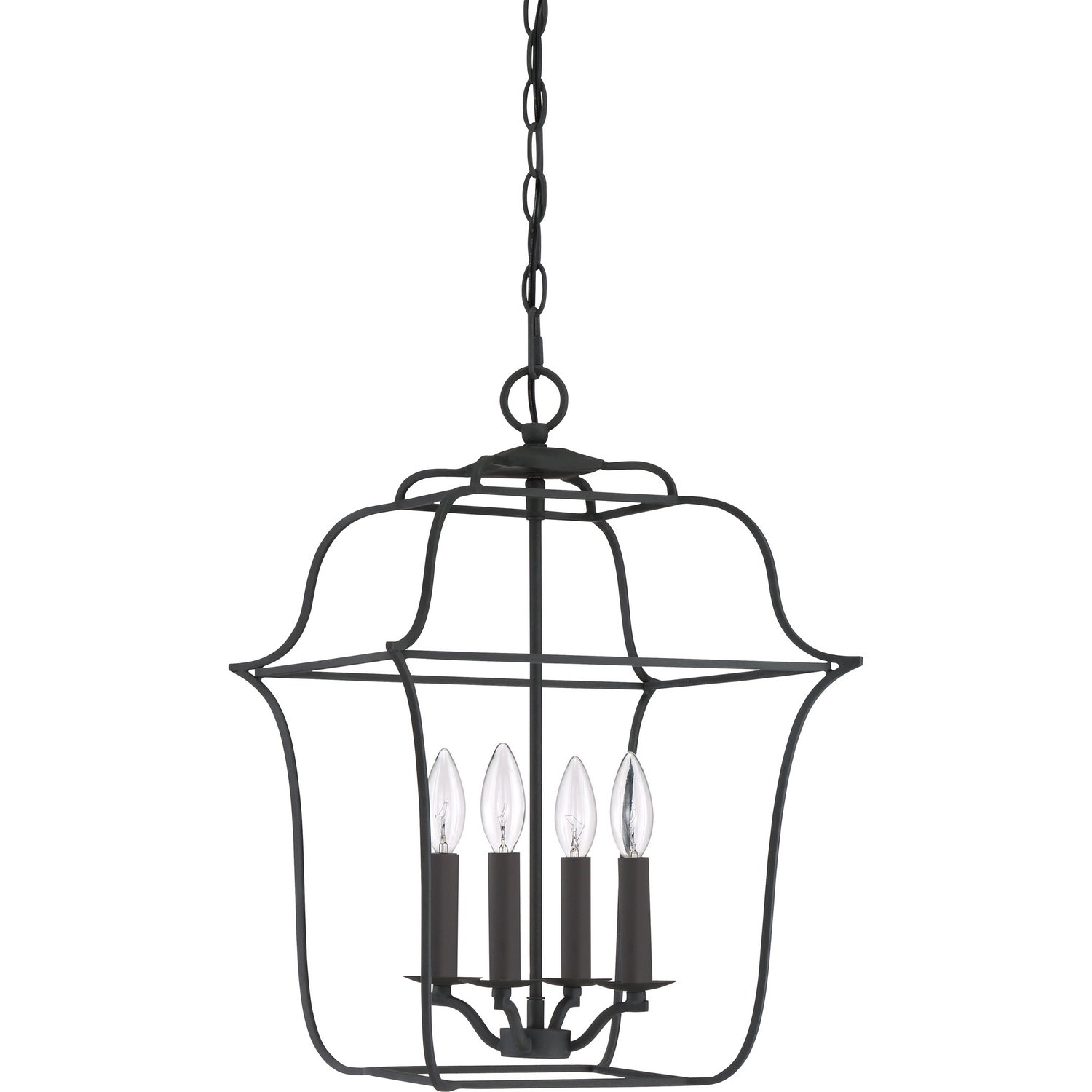 Quoizel - GLY5204BA - Four Light Foyer Pendant - Gallery - Royal Ebony