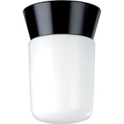 Nuvo Lighting - SF77-154 - One Light Ceiling Mount - Black