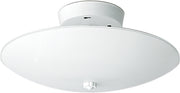 Nuvo Lighting - SF77-823 - Two Light Flush Mount - White