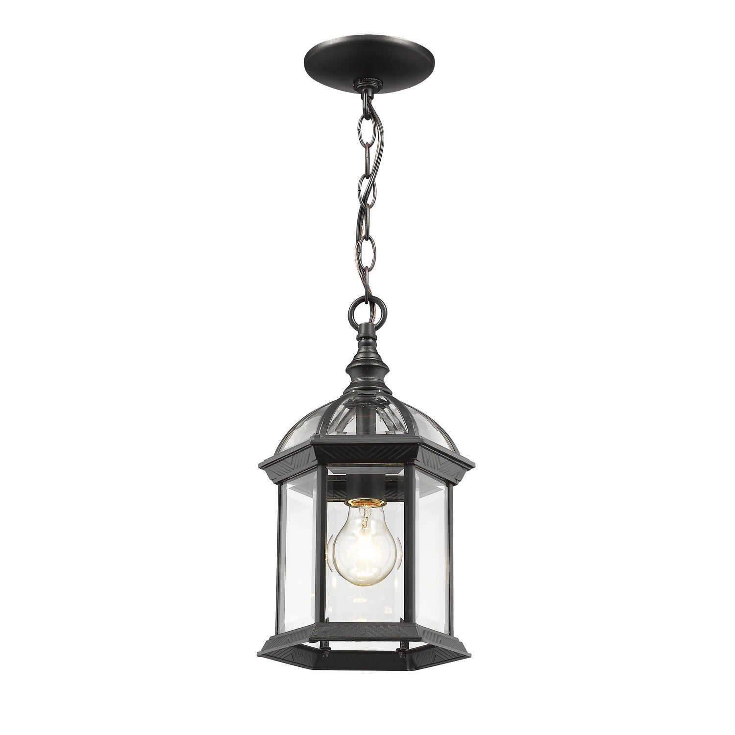 Z-Lite - 563CHM-BK - One Light Outdoor Chain Mount Ceiling Fixture - Annex - Black