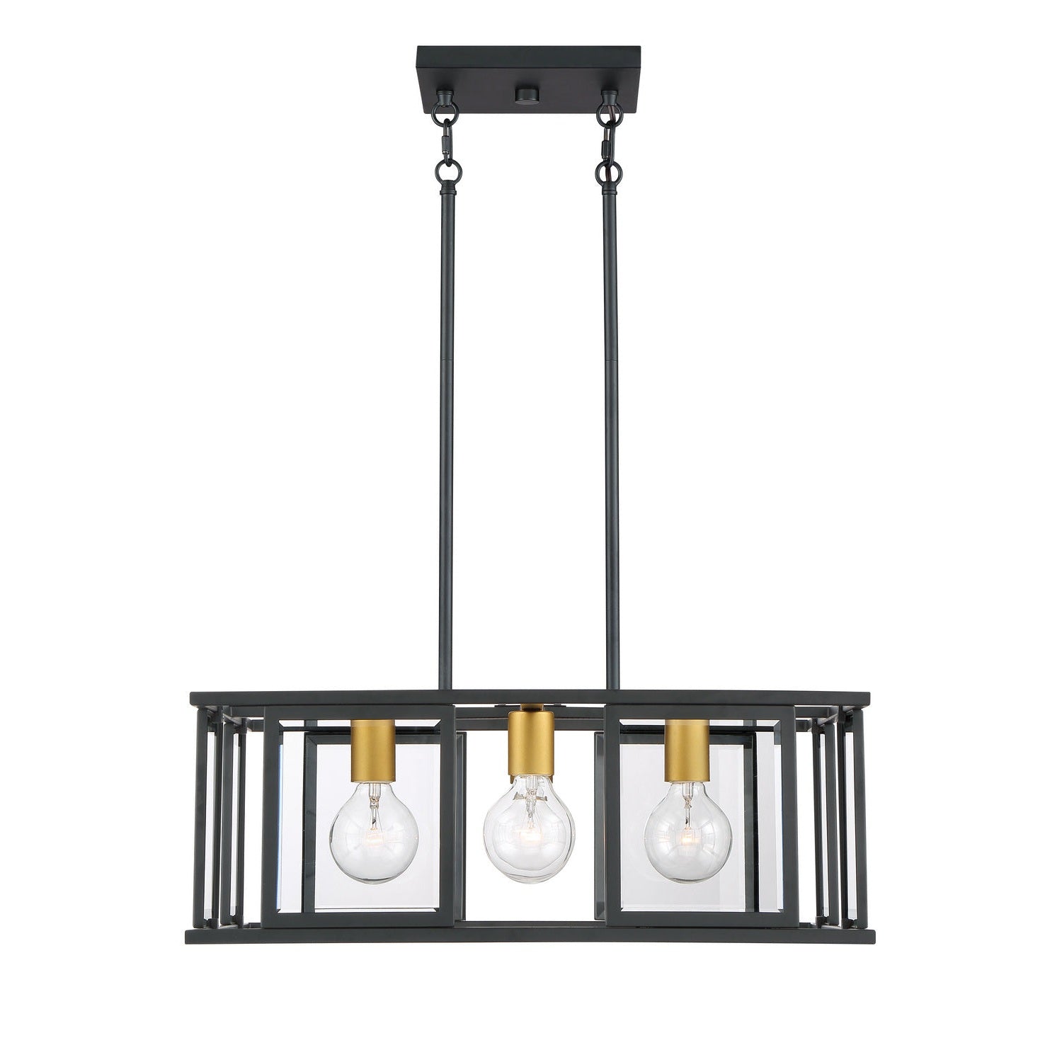 Nuvo Lighting - 60-6414 - Four Light Pendant - Payne - Midnight Bronze