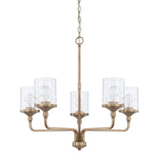Capital Lighting - 428851AD-451 - Five Light Chandelier - Colton - Aged Brass