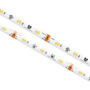 American Lighting - SPTL-TW - Tape Light - Spec Tunable Tape - White