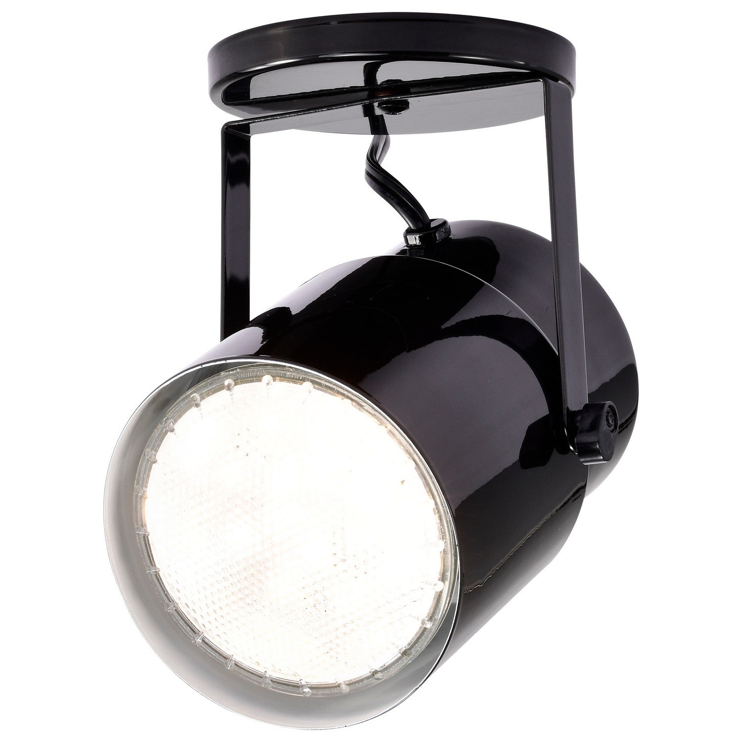 Nuvo Lighting - SF77-394 - One Light Plant Lamp - Black / Steel