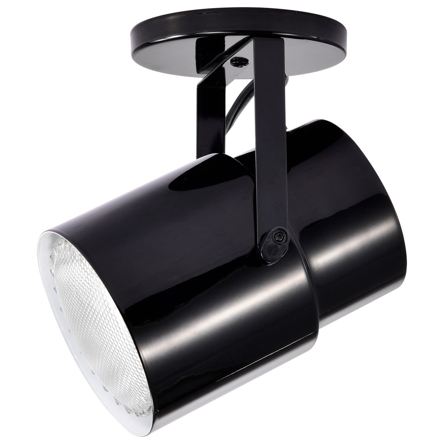 Nuvo Lighting - SF77-394 - One Light Plant Lamp - Black / Steel