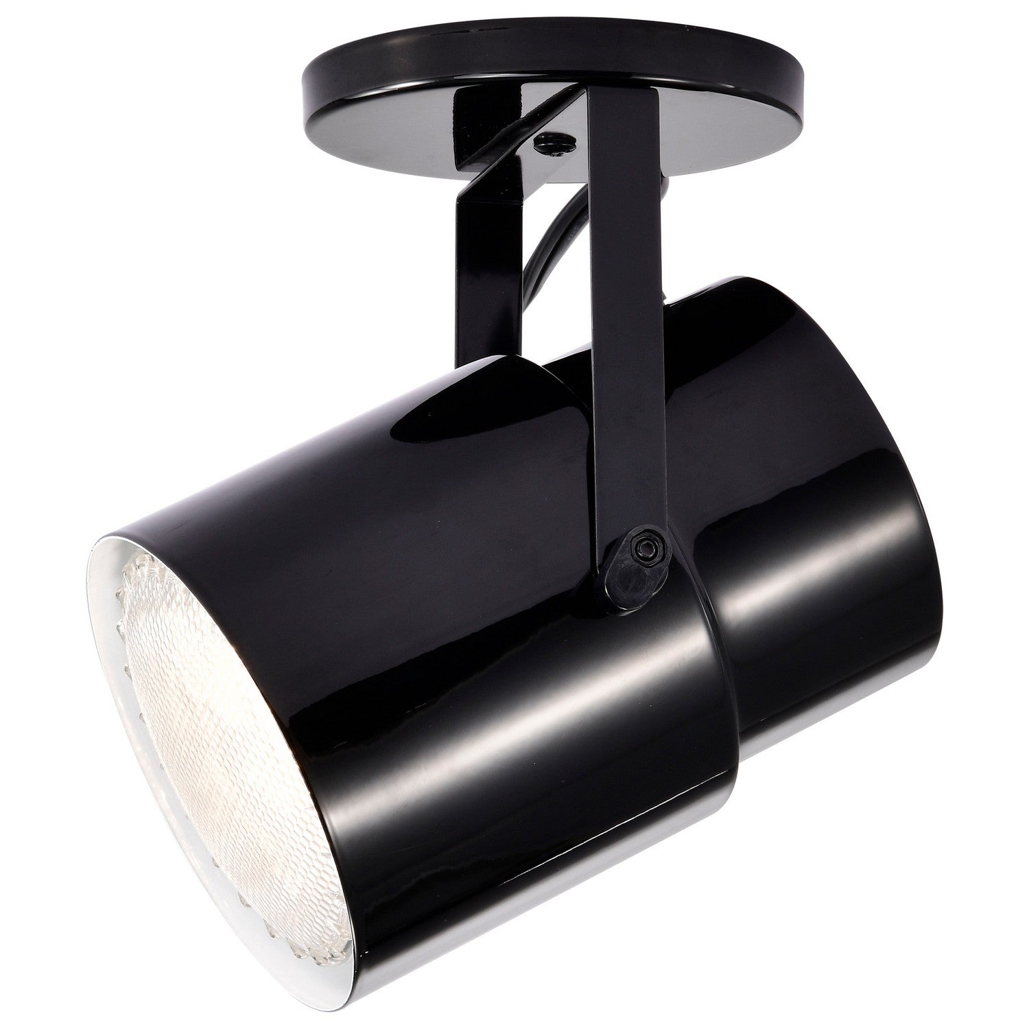 Nuvo Lighting - SF77-394 - One Light Plant Lamp - Black / Steel