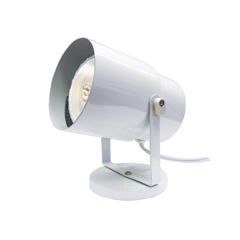Nuvo Lighting - SF77-395 - One Light Plant Lamp - White