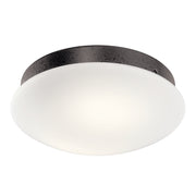 Kichler - 380356AVI - LED Fan Light Kit - Ried - Anvil Iron