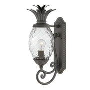 Hinkley - 2120MB - LED Outdoor Lantern - Plantation - Museum Black