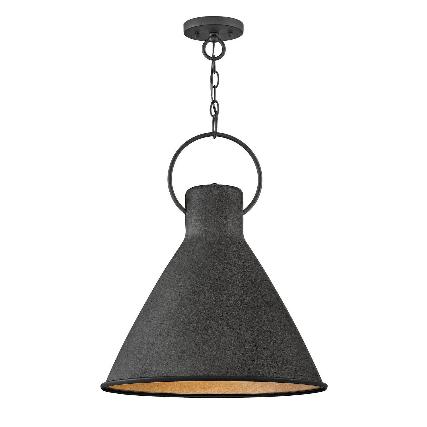 Hinkley - 3555DZ - LED Pendant - Winnie - Aged Zinc