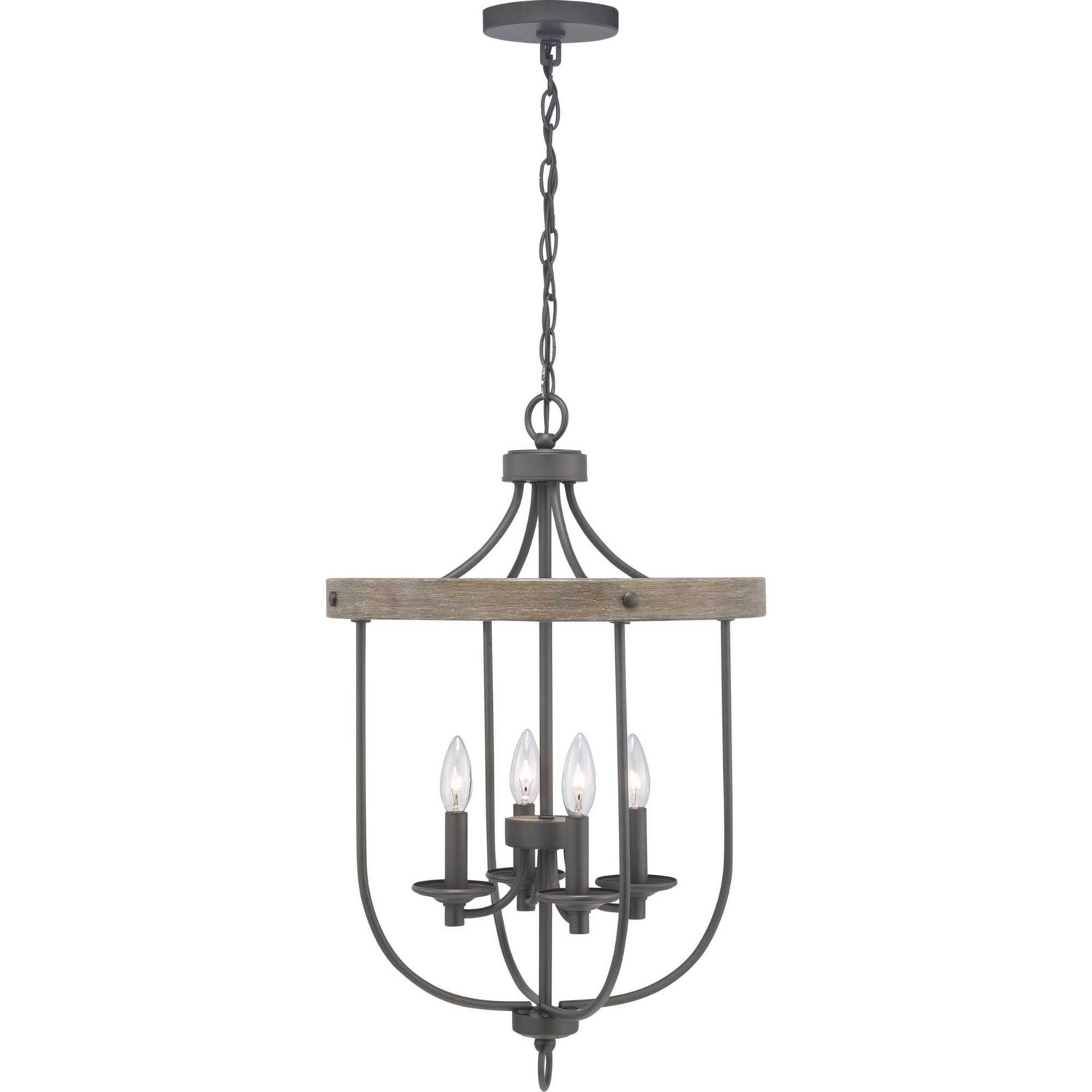 Progress Lighting - P500157-143 - Four Light Foyer Pendant - Gulliver - Graphite