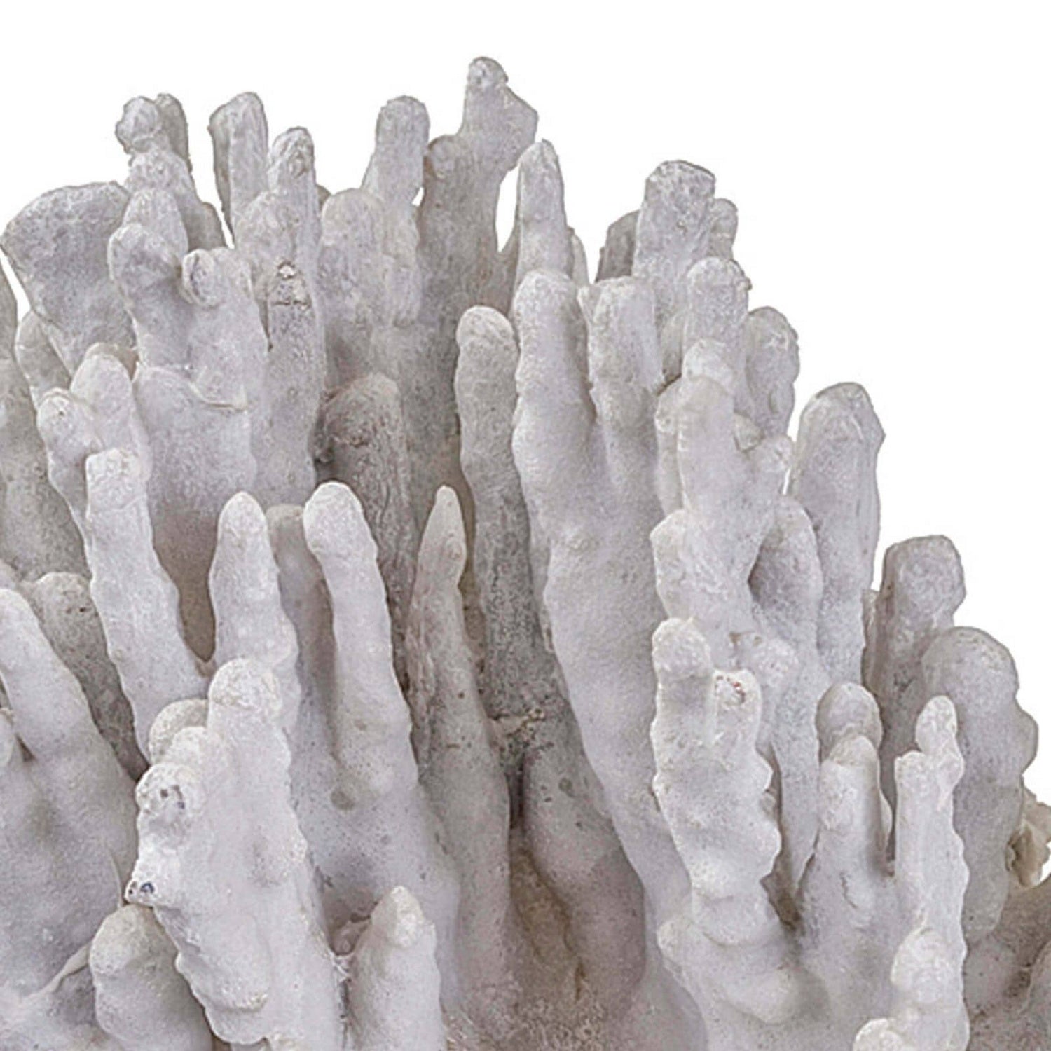 Regina Andrew - 20-1005 - Objet - Coral - Natural Coral