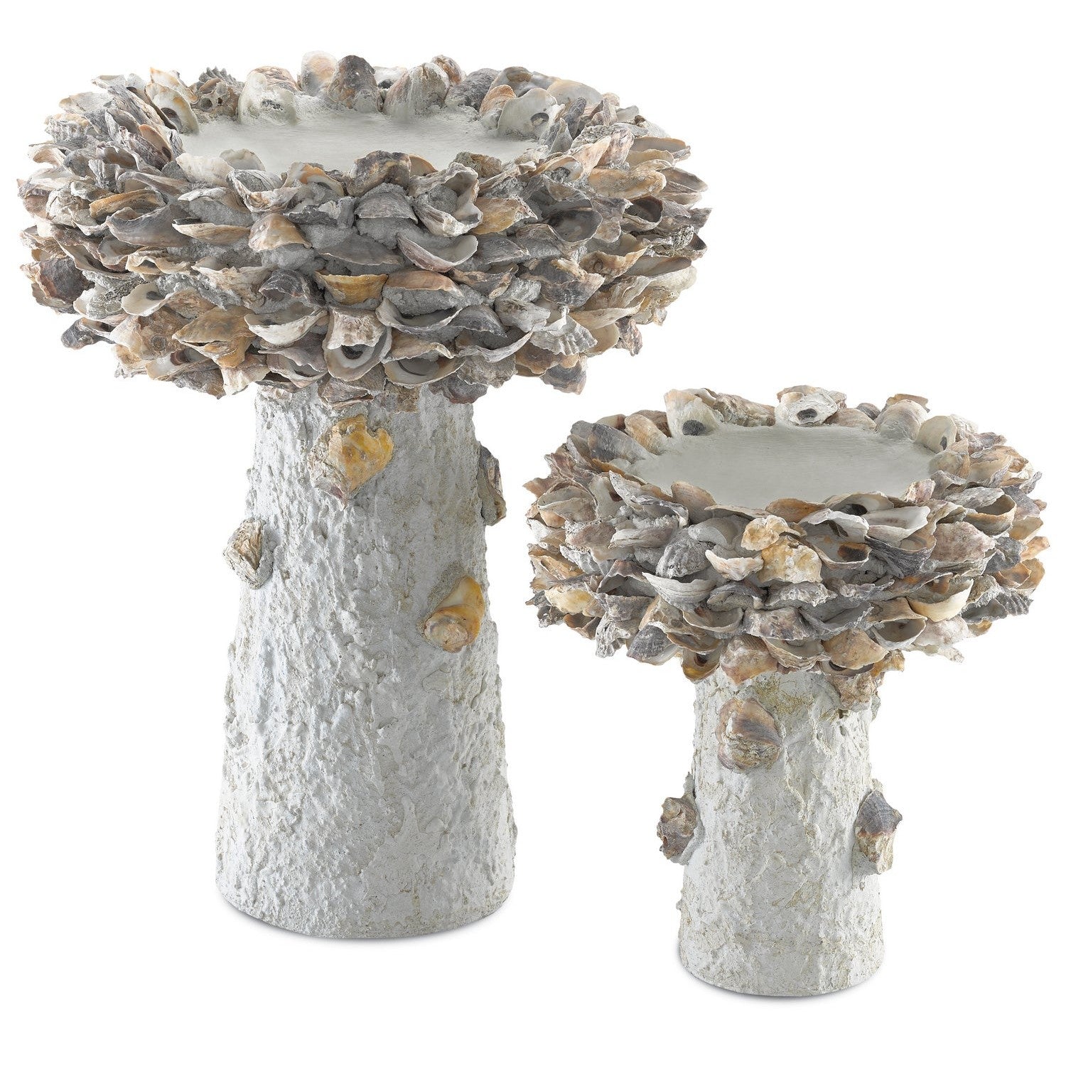 Currey and Company - 1200-0052 - Bird Bath - Oyster Shell Collection - Portland / Natural