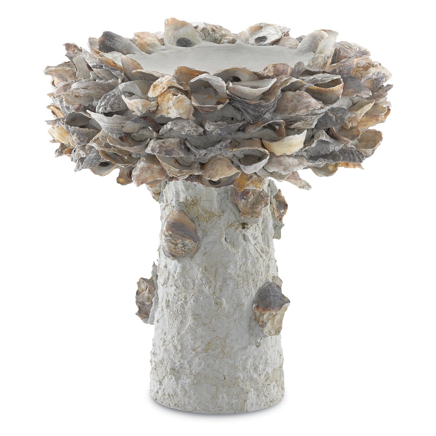 Currey and Company - 1200-0052 - Bird Bath - Oyster Shell Collection - Portland / Natural