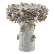 Currey and Company - 1200-0052 - Bird Bath - Oyster Shell Collection - Portland / Natural