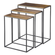 Uttermost - 25050 - Nesting Tables, Set/3 - Coreene - Aged Black Iron