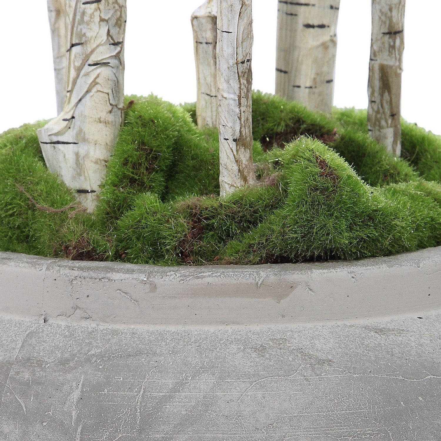 Uttermost - 60146 - River Birch - Aldis - Aged Stone