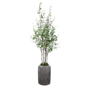 Uttermost - 60146 - River Birch - Aldis - Aged Stone