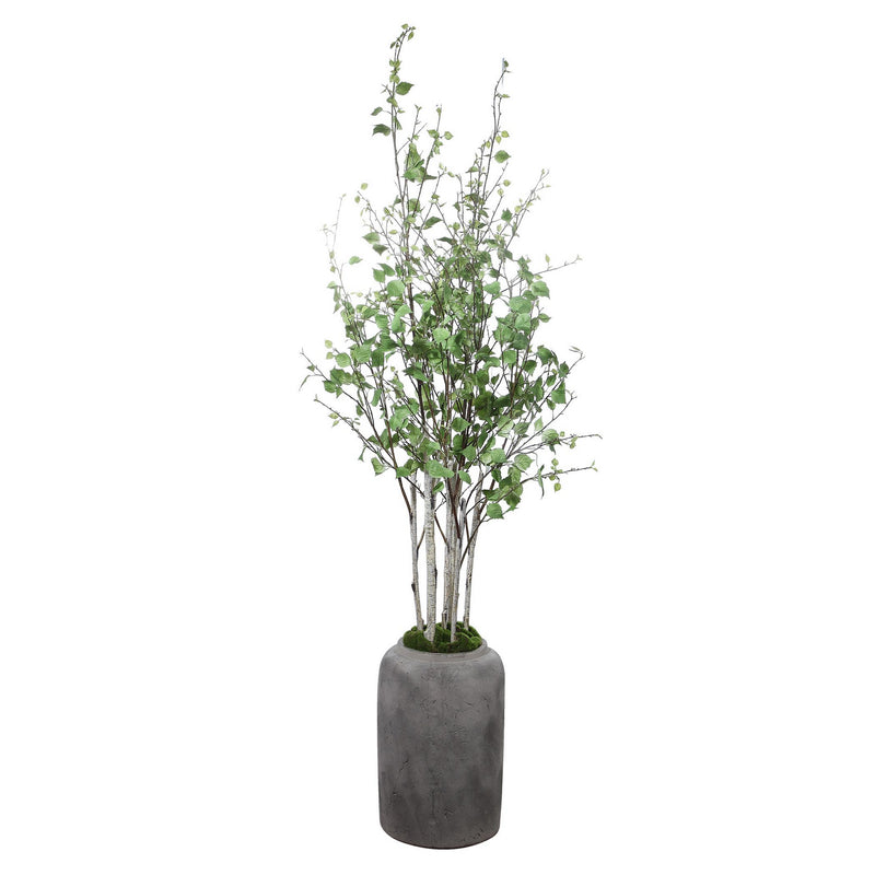 Uttermost - 60146 - River Birch - Aldis - Aged Stone