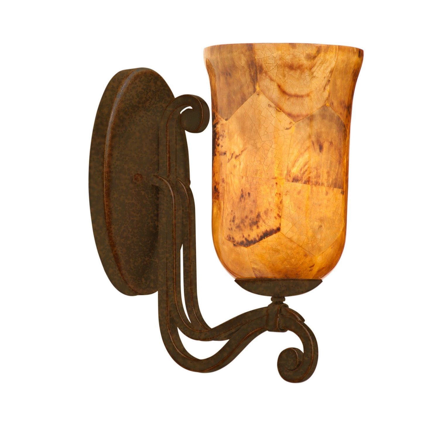 Kalco - 4961TO/PENSH - One Light Wall Bracket - Somerset - Tortoise Shell