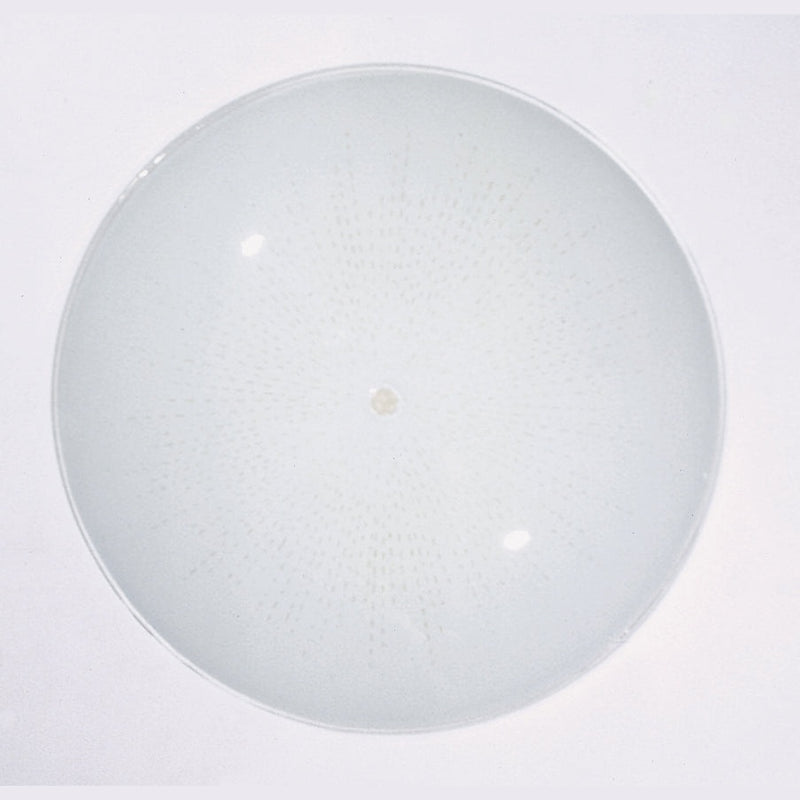 Nuvo Lighting - 50-200 - Glass