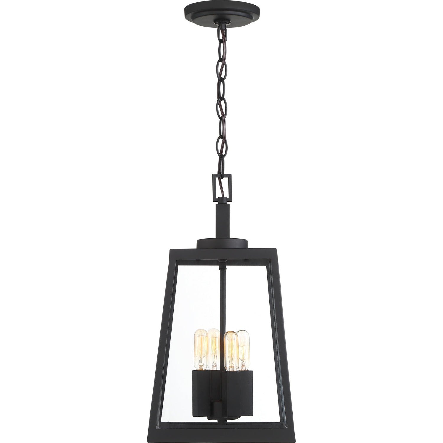 Nuvo Lighting - 60-6584 - Four Light Hanging Lantern - Halifax - Matte Black
