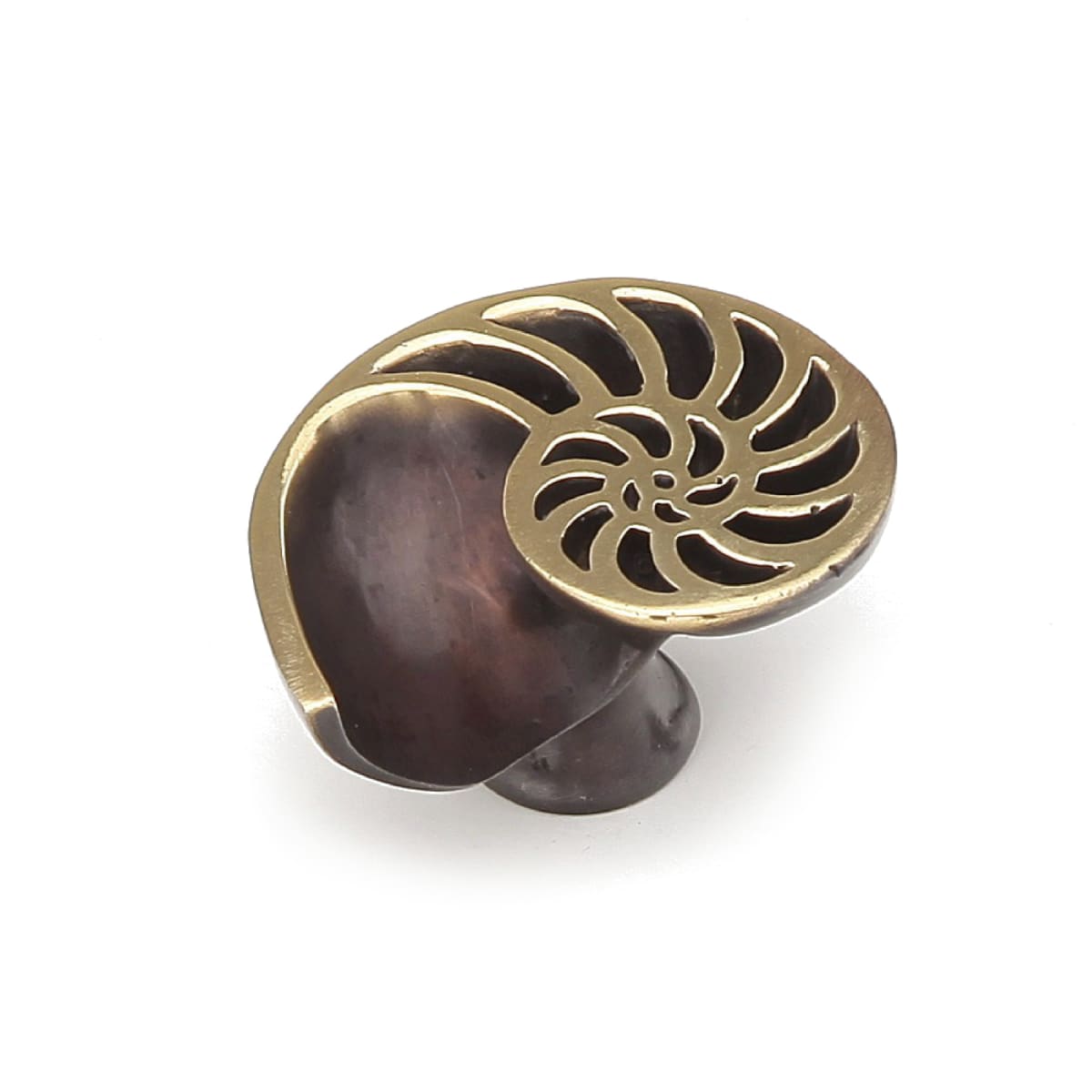Neptune 1-1/2" Nautical Coastal Nautilus Shell Right Side Solid Brass Cabinet Door Knob Drawer Knob