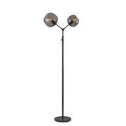 Adesso Home - 3439-01 - Two Light Floor Lamp - Ashton - Matte Black