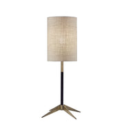 Adesso Home - 3473-01 - Table Lamp - Davis - Antique Brass